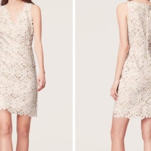 NEW-0P-Ann Taylor Loft Floral V-neck Dress - Picture 2 of 2